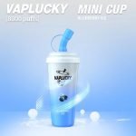 Blueberry ice – Vaplucky Minicup
