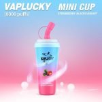 Vaplucky