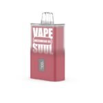 Watermelon Ice – Vapesoul LCD (12000 Puffs)