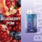 ELF BAR TE6000 – Blueberry Pom