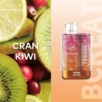 ELF BAR TE6000 – Cran Kiwi