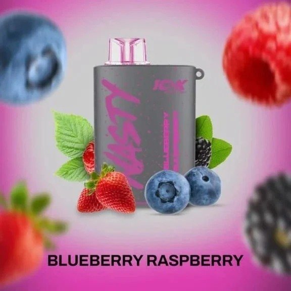 Nasty Splash Blueberry Raspberry