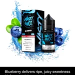 Nasty Juice Super Cool Blueberry