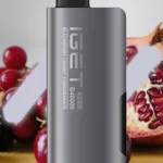 IGET SOUL B40000 – Blackberry Cherry Pomegranate