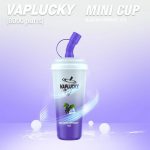 Blackcurrant ice – Vaplucky Minicup