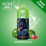 Watermelon ice – R&M Paradise 8000