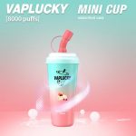 Vaplucky Minicup
