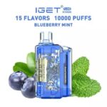 IGET FLARE B10000 – Blueberry Mint