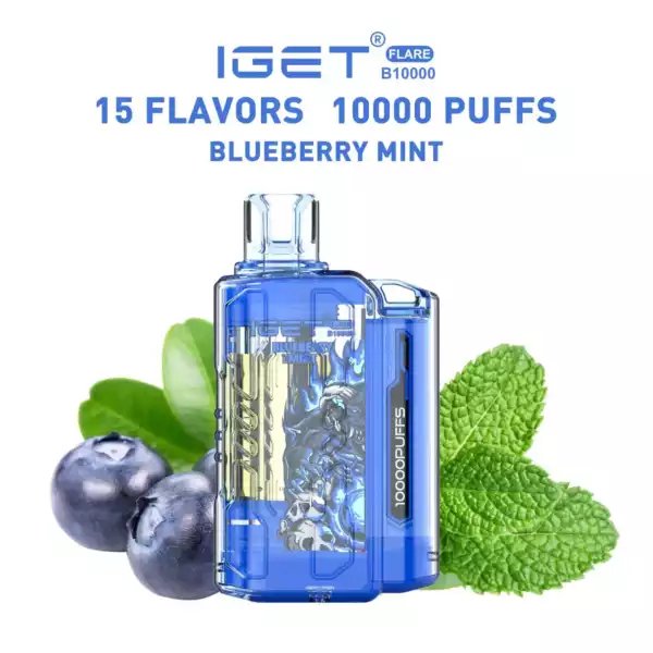 IGET FLARE B10000 - Blueberry Mint