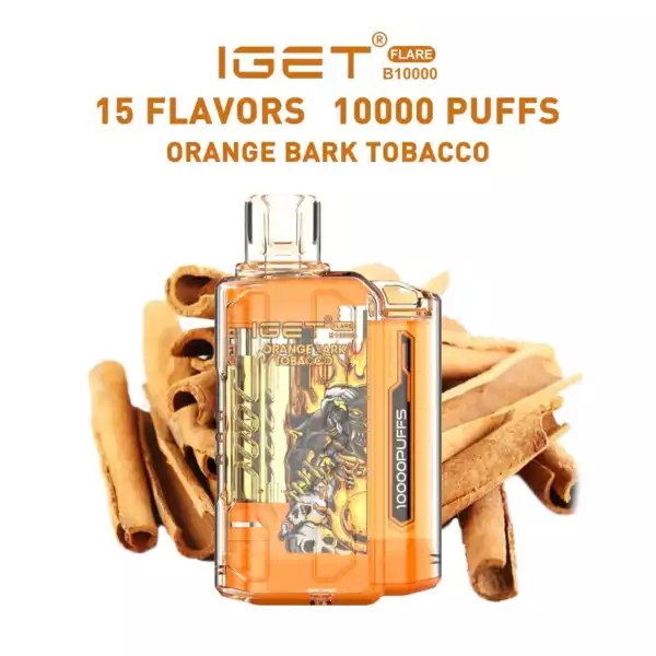 IGET FLARE B10000 - Orange Bark Tobacco